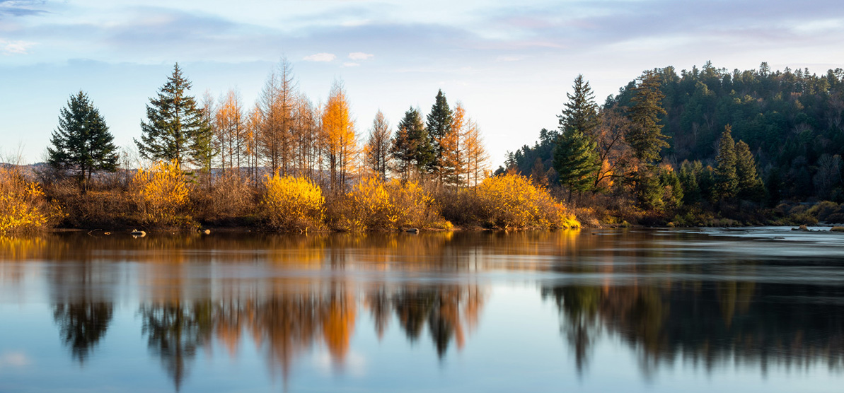 水情形生态治理
