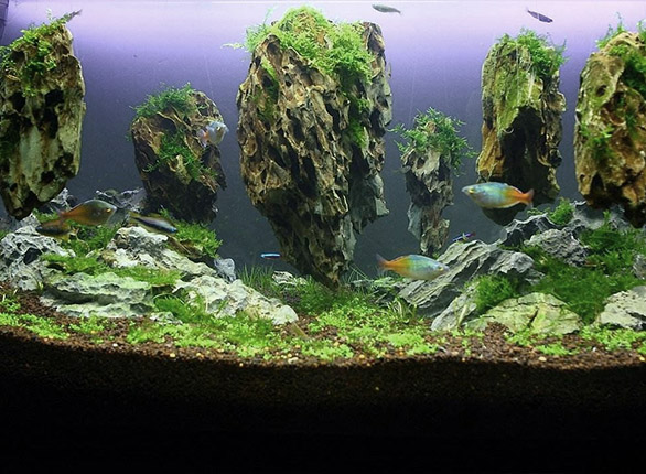 一体化MBR污水处置惩罚装置-庄闲游戏