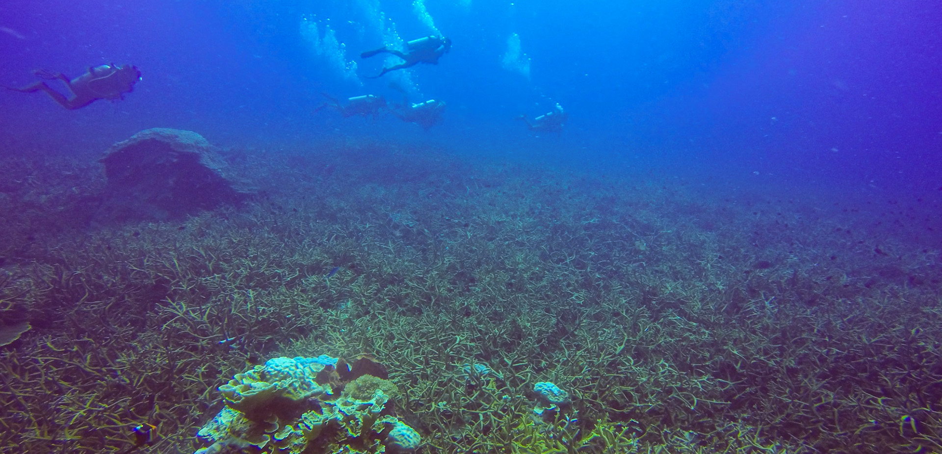 现在水处置惩罚手艺可以抵达什么清水效果