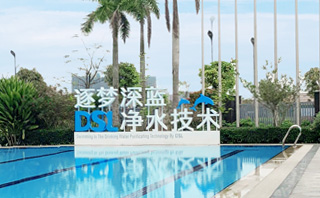 庄闲游戏逐梦深蓝清水手艺