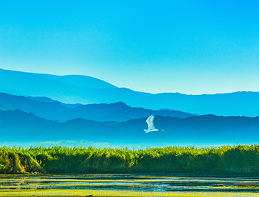 生态治理与零排放焦点手艺