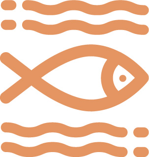 庄闲游戏·(中国游)官方网站