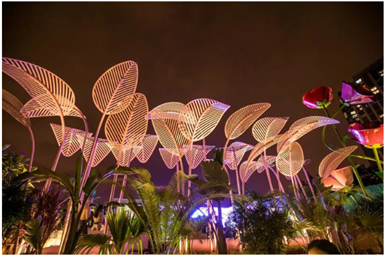 无氯游泳池系统，，无氯游泳池，，露天无氯游泳池