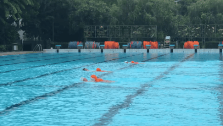 庄闲游戏游泳馆,庄闲游戏泳池，，，，游泳馆运营治理