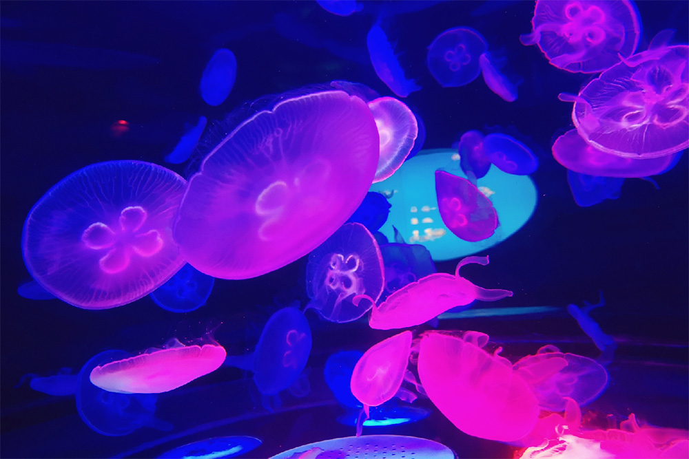 庄闲游戏·(中国游)官方网站