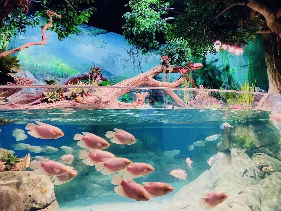 庄闲游戏·(中国游)官方网站