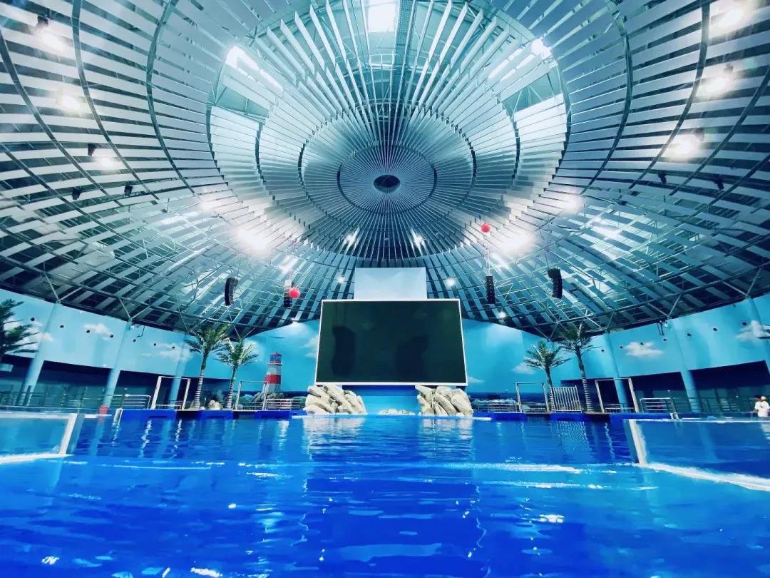 生态水情形治理