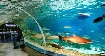 海洋馆水质处置惩罚