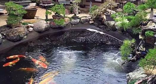 <b>人工湖水体的水处置惩罚要领</b>