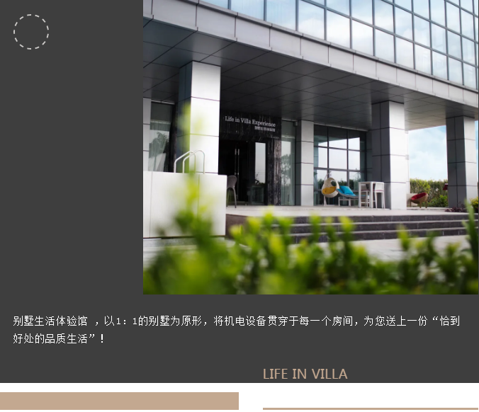 庄闲游戏别墅生涯