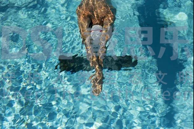 庄闲游戏·(中国游)官方网站