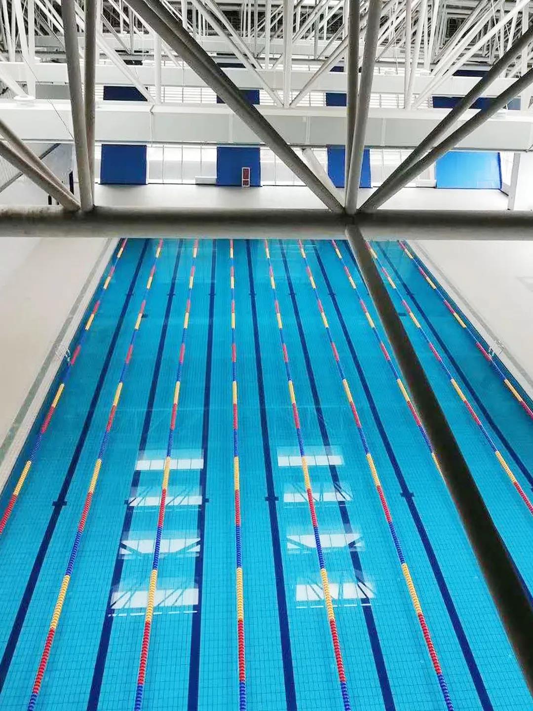 低氯游泳馆,无氯游泳池,低氯泳池，，，低氯系统