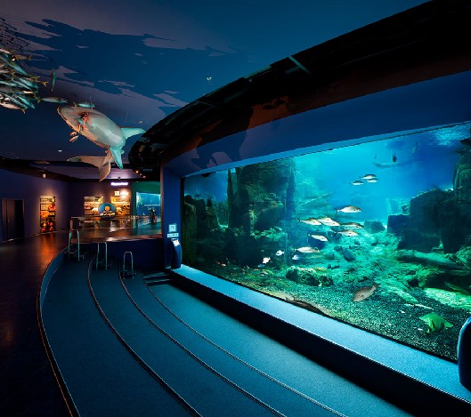 水质处置惩罚装备,水族馆水处置惩罚,水族馆装备