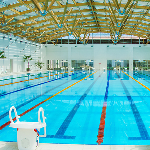 恒温泳池装备有哪些？？？？？