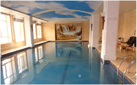 游泳池水处置惩罚装备,泳池水处置惩罚,游泳池装备