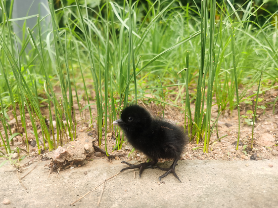 庄闲游戏·(中国游)官方网站