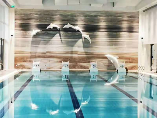 关于泳池水诘责题，，，，，水处置惩罚系统是要害！