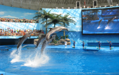 海洋馆里的水怎么过滤？？？