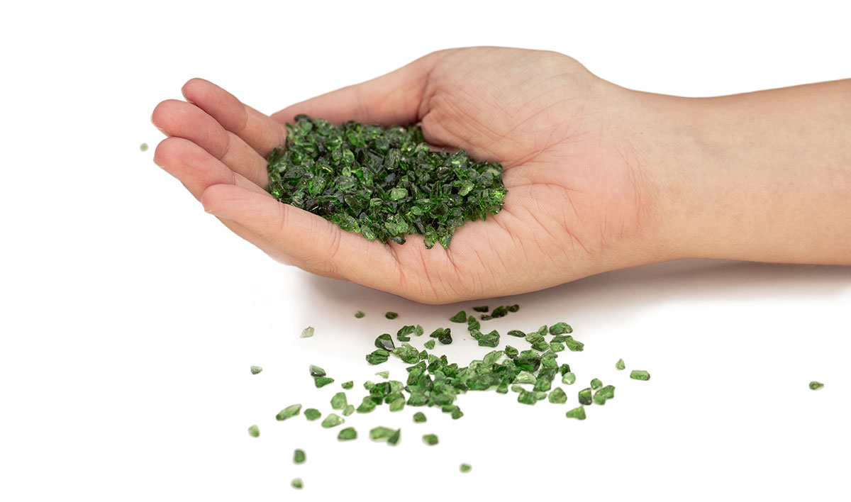 海洋馆水质处置惩罚,海洋馆