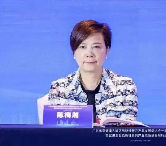 庄闲游戏陈梅湘董事长中选大湾区战新会副会长