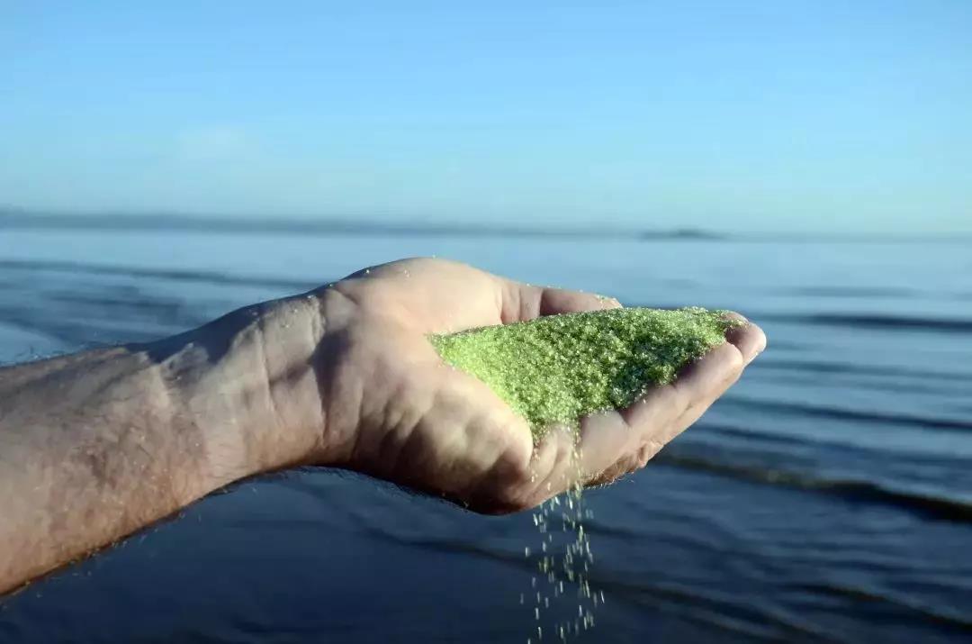 别墅游泳池,别墅泳池计划