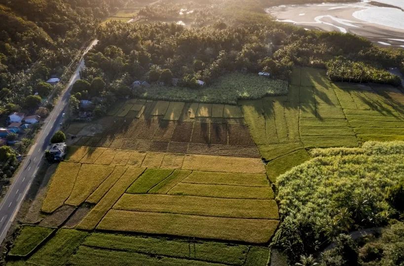 庄闲游戏墟落振兴