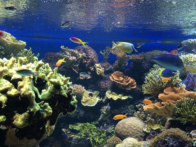 海洋馆水处置惩罚,海洋馆水处置惩罚滤料