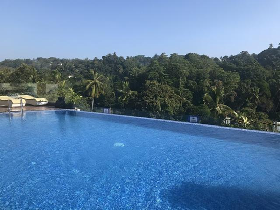 游泳池水处置惩罚,游泳池水处置惩罚系统