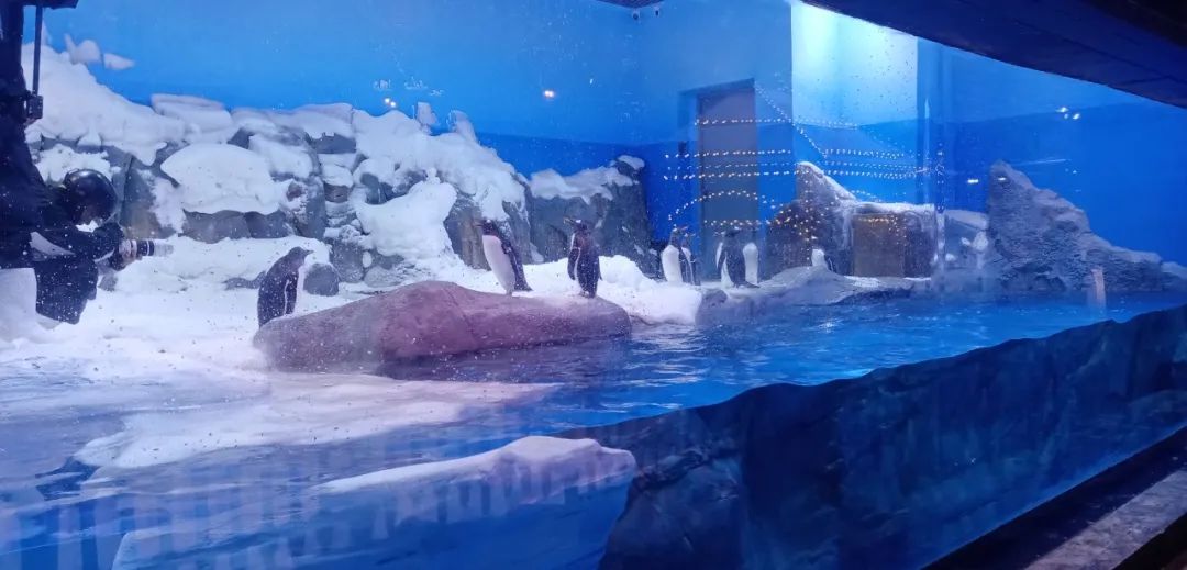 庄闲游戏·(中国游)官方网站