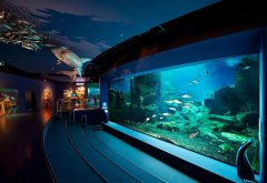 水族馆的建设历程中需要思量哪些因素？？？需要哪些装备呢？？？