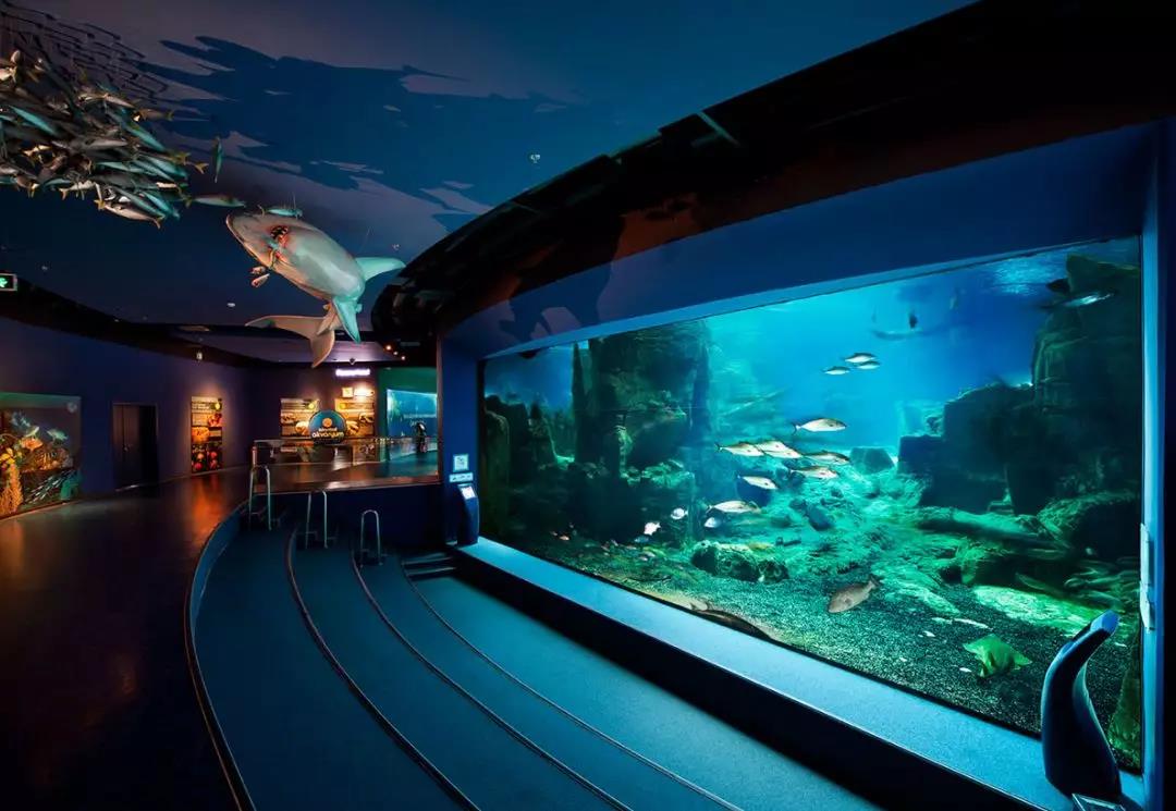 水族馆水处置惩罚装备