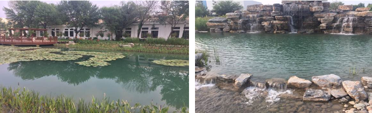 人工湖治理,都会人工湖治理