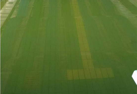 解决游泳池水质污浊的四大战略，，，，接待查阅！