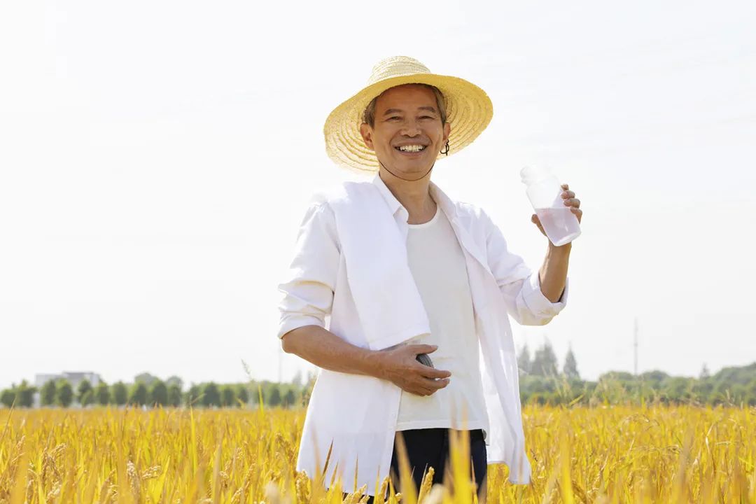 墟落振兴新篇章，，，庄闲游戏引领“农改水”绿色革命！