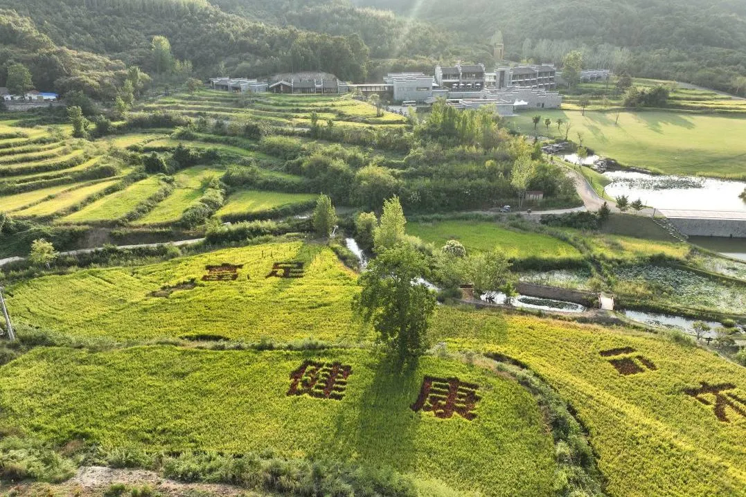 庄闲游戏·(中国游)官方网站