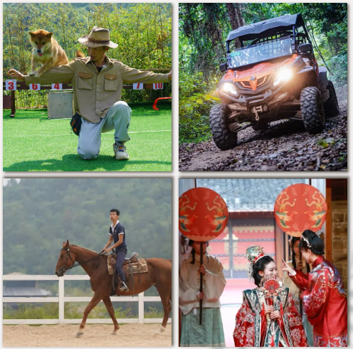 庄闲游戏·(中国游)官方网站