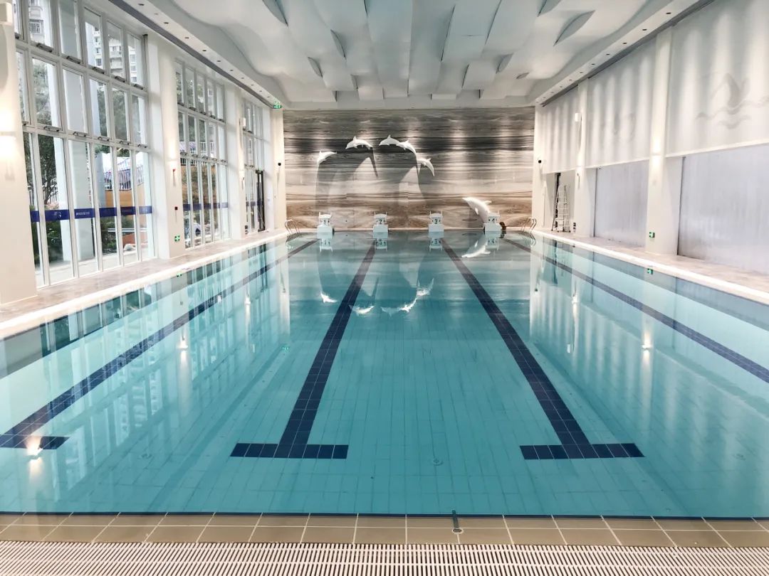 水处置惩罚装备,游泳池水处置惩罚装备,泳池水处置惩罚装备厂家