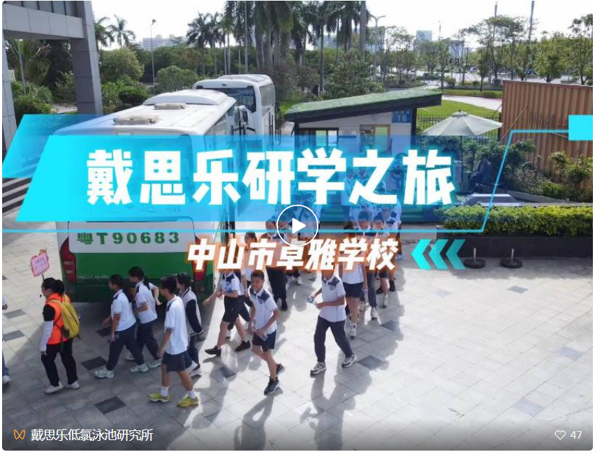 庄闲游戏集团,庄闲游戏