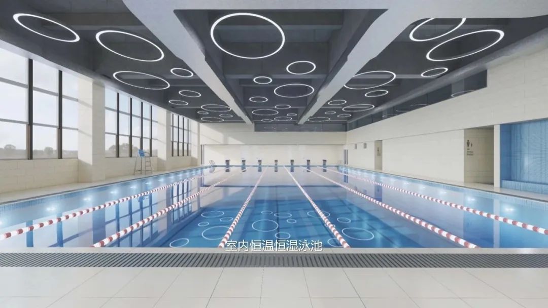 恒温游泳池,学校游泳池,室内恒温游泳池