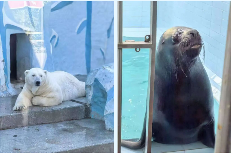 庄闲游戏·(中国游)官方网站