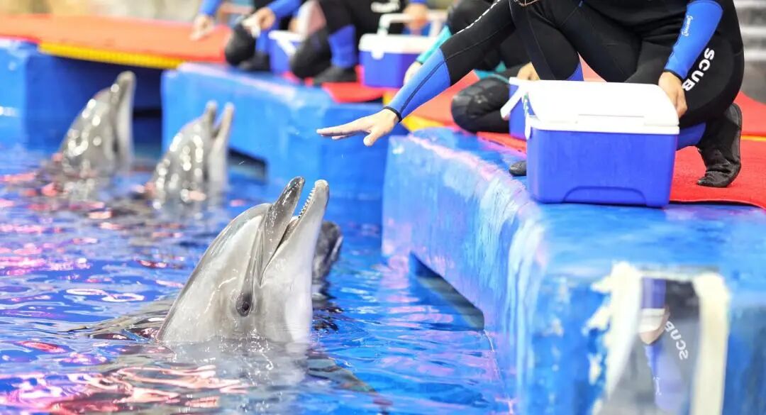 庄闲游戏·(中国游)官方网站